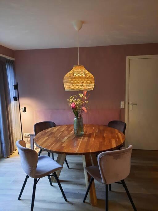 4-6 Persoons Vakantiewoning Met Eigen Tuin Villa Bakkeveen Kültér fotó