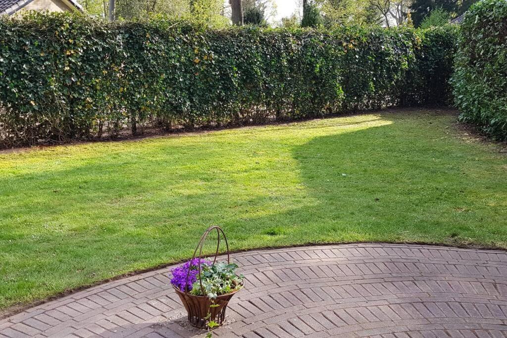4-6 Persoons Vakantiewoning Met Eigen Tuin Villa Bakkeveen Kültér fotó